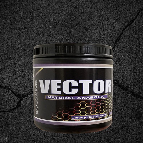 Vector - Black Lion Research